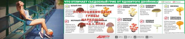 спиды Пестово