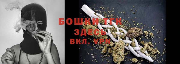 PSILOCYBIN Переславль-Залесский