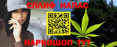 молекула духа Донецк
