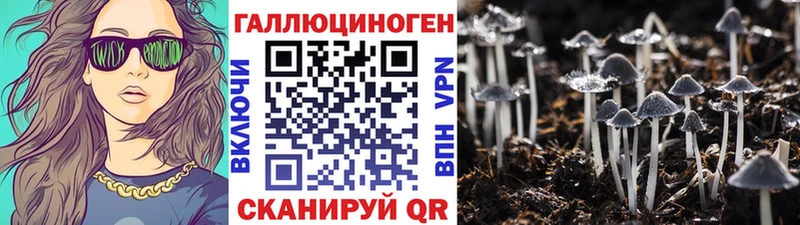 Галлюциногенные грибы Cubensis  omg рабочий сайт  Балтийск  купить  