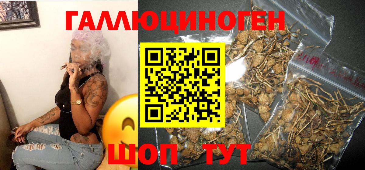 Псилоцибиновые грибы мухоморы Балтийск