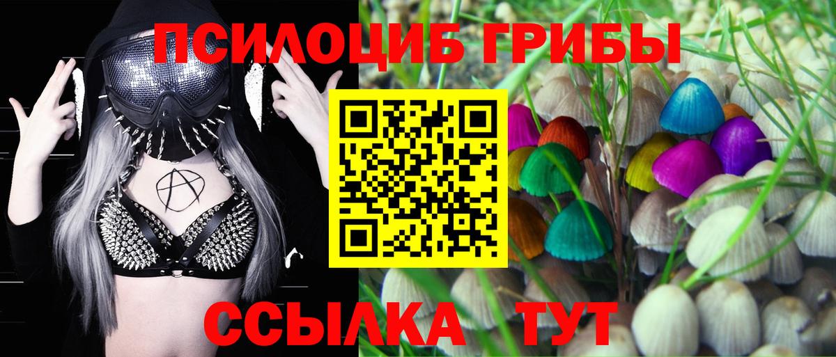 Псилоцибиновые грибы Cubensis  Псилоцибиновые грибы мицелий  Вход с VPN  Балтийск 
