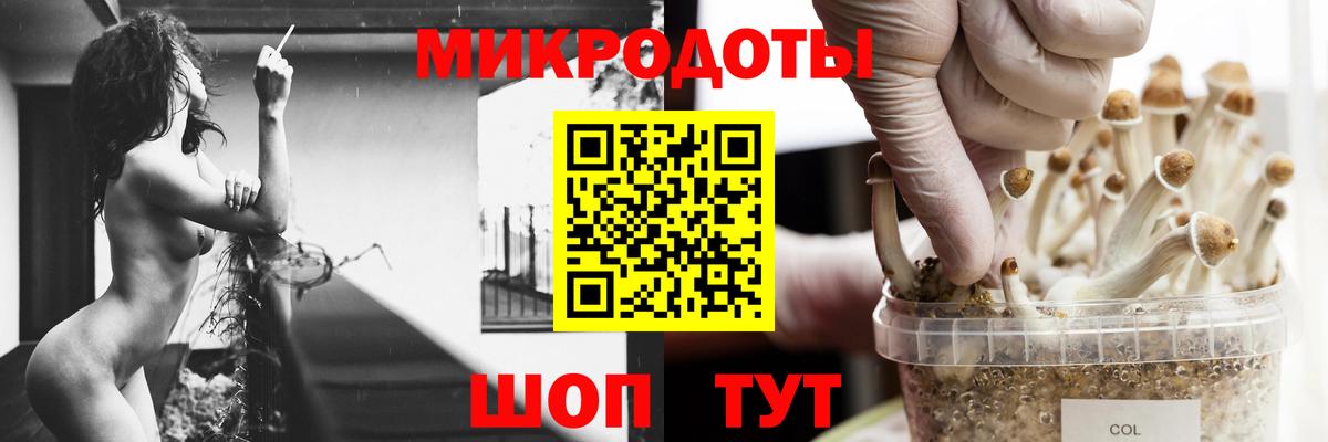 Псилоцибиновые грибы прущие грибы  Балтийск  Галлюциногенные грибы GOLDEN TEACHER 