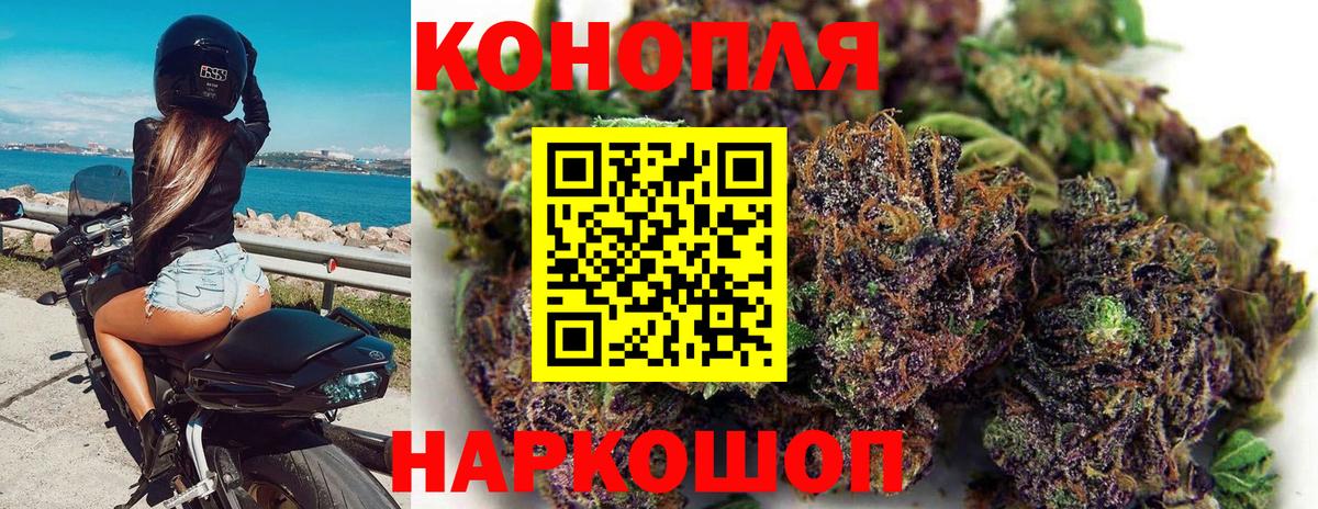 Бошки марихуана THC 21% Балтийск